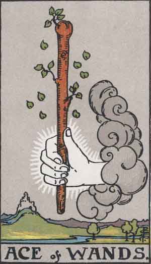 Ace of Wands reference image